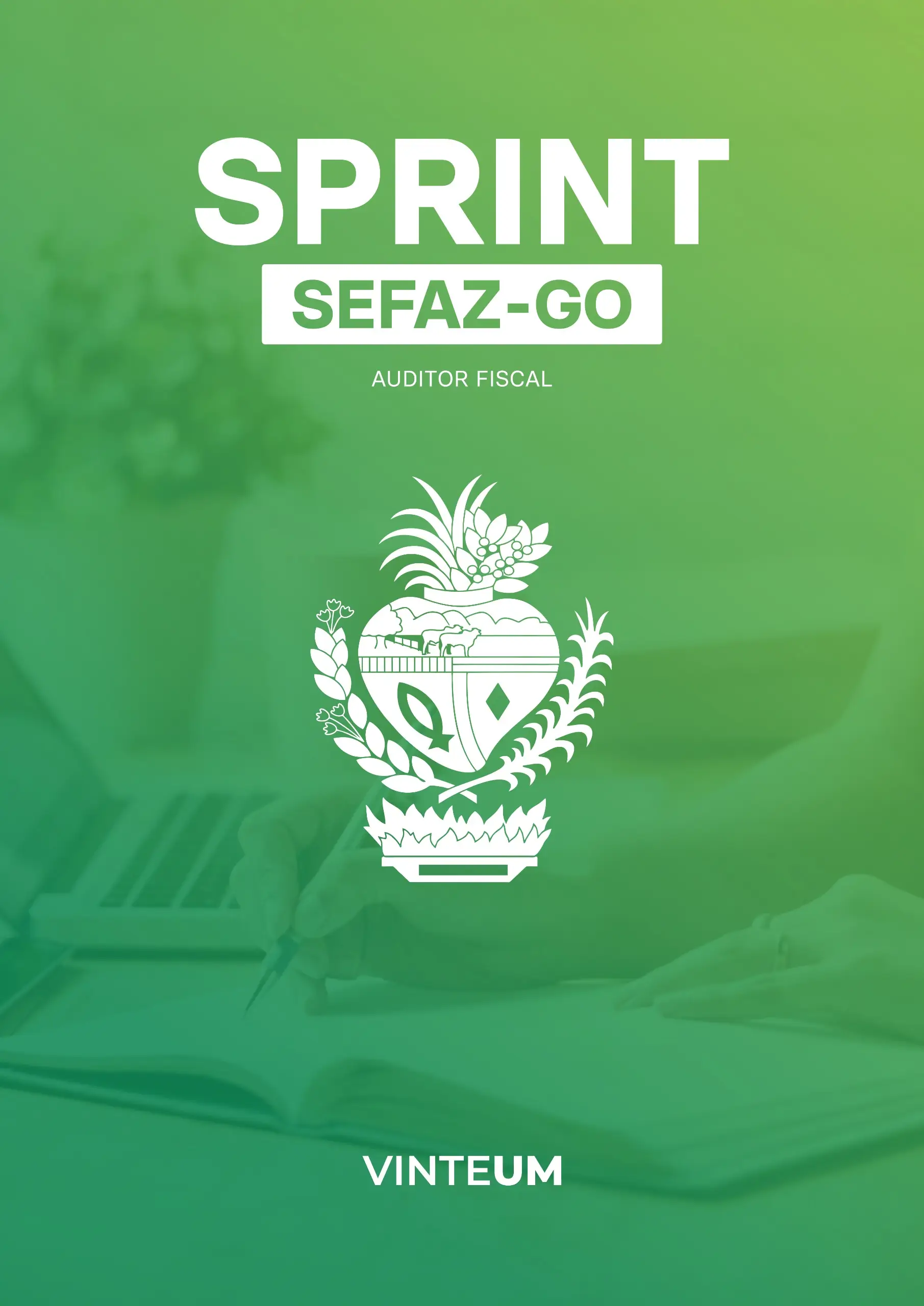 Sprint SEFAZ-GO (Auditor Fiscal)